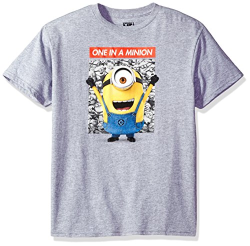 Despicable me little boys  one in a minion t-shirt, gra…