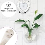 NORTHERN BROTHERS Picture Hooks 60 PCS Non-Trace Hard Wall Hanger Set White view 4