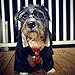 4PCS Magic Set, Striped Knit Scarf Striped Tie with Glasses & College Badge