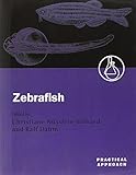 Zebrafish: A Practical Approach (Practical Approach Series)