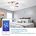 Smart WiFi Fan Light Switch, In-Wall Ceiling Fan Lamp Switch Compatible with Alexa, Google Home Assistant [Voice/Remote/Touch Control] [Timer Function]