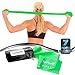 7Ft Long Resistance Bands for Stretching - Resistance Bands Set with Door Anchor - Exercise Bands Including Carry Pouch, E-Book & App - Latex-Free Workout Bands (Light Green)