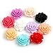 Patty Both 55Pcs DIY Mixed Lots Resin Rose Flowers Cabochons Cameo Flat Back 18x9mm (Random)