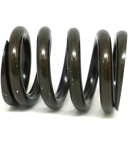 Amazon.com : OEM Dixie Chopper Mower Suspension Spring 10LB