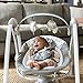 Ingenuity Power Adapt Portable Swing - Braden