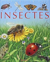 Les  insectes