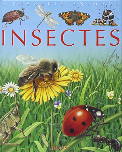 Les  insectes