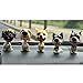 Comidox Handmade childhood memory BobbleHead Dogs Car Dash Puppy for Car Vehicle decoration rocking head dog made by superior Natural Resin Pugs 1PC