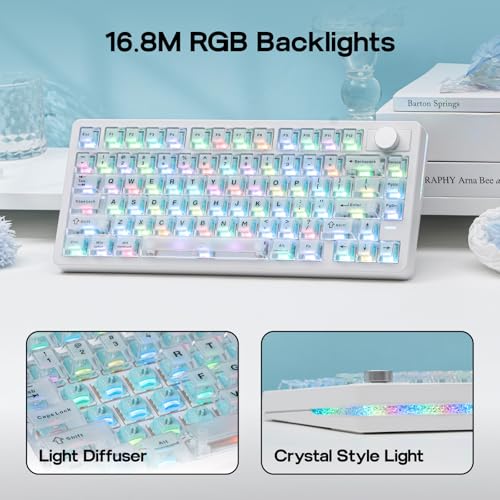 EPOMAKER HE75 V2 Hall Effect Gaming Keyboard, 8K Polling & 0.1ms, 8000mAh & 2.4Ghz/BT, Hot Swap Key & Knob, 0.005mm Adjustable Actuation, Rapid Triggering, Creamy & Thocky (White)