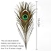 Blisstime Peacock Feathers 8