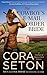 The Cowboy's E-Mail Order Bride (Cowboys of Chance Creek, Book 1) by Cora Seton