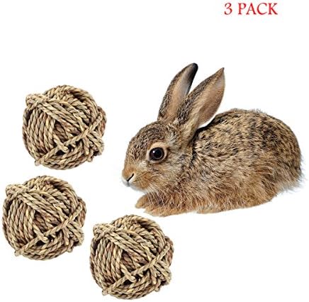 Ouzen Small Animal Activity Toy, Natural Bird Chew Toys Grass Play Balls (Pack of 3)