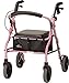 NOVA Medical Products Zoom Rollator Walker with 20” Seat Height, 20 Inch, Pink