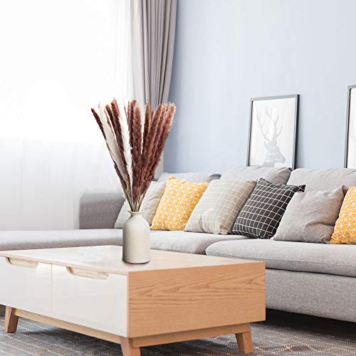 DomeStar 36PCS Pampas Grass, Natural Dried Pampas Reed Grass Plume Wedding Flower Bunch