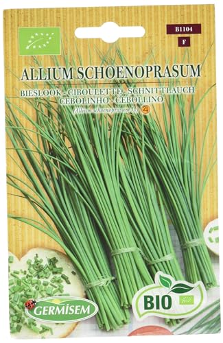 Germisem Biologico Allium Schoenopasum Semi di Erba Cipollina 2 g