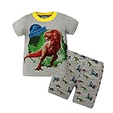 VICVIK Dinosaur Little Boys' Pajama Sets 100% Cotton Toddler Kids Pjs Clothing Set