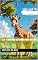 Livro Lila: A Girafinha Que Queria Ficar No Chão : Livro 2 (Livros infatis)
