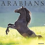 Arabians 2019 Wall Calendar by