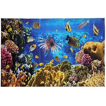 76 X 46cm Aquarium Background Fish Tank Decorations Pictures 3d Effect Pvc Adhesive Poster Underwater World