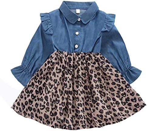 Girls Dress, Princess Dresses Sleeveless Denim Tops Floral Tutu Skirts
