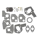 Hipa Carburetor Overhaul Kit for Briggs & Stratton 495606 494624