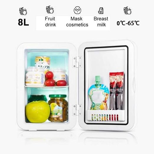 mini fridge for car