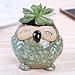 ROSE CREATE 6 Pcs 3 Inches Owl Pots, Little Ceramic Succulent Owl Planters with Drainage Holes - (Big Smile Owls)