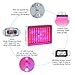 ColoFocus 1000W Double Chips Indoor LED Plant Grow Light Kit, Full Specturm for Greenhouse and Indoor Plant Flowering Growing Plants (10W Leds 100Pcs)
