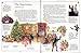 The Illustrated Book of Ballet Stories