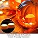 HOME MOST Halloween Pumpkin Lights with Remote and Timers - Orange Pumpkin Lights Battery Operated Halloween Decor - LED Lights Halloween - Jack-O-Lantern LED Lights Halloween Pumpkin Lights Battery