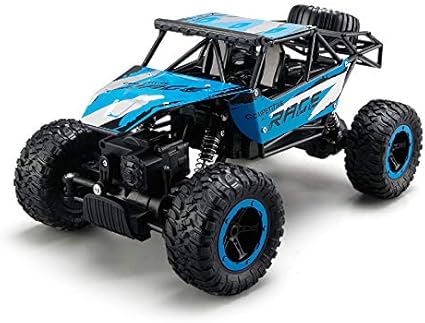 outdoor radio controlled cars