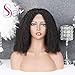 Sailk Hair 13x6 Lace Front Wigs Kinky Curly Human hair wigs Remy Hair Wigs Brazilian with Baby Hair Pre Plucked Bleached Knots(8 inch with 150% density)