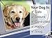 BWOGUE 2 Packs Dog Cat Safety Seat Belt Strap Car Headrest Restraint Adjustable Nylon Fabric Dog Restraints Vehicle Seatbelts Harness