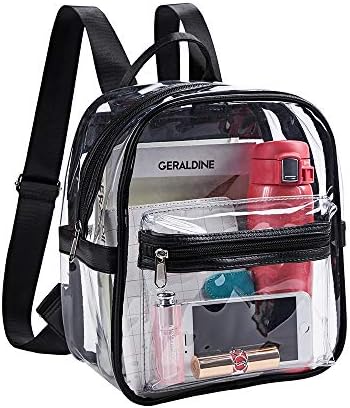 Mini Clear Backpack