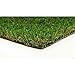 SunVilla Artificial Grass Rug Indoor Outdoor, Realistic Thick Synthetic Fake Grass Mat for Dogs, Garden Lawn Landscape Patio Grass (2 in X 3 in - Sample)