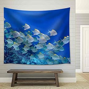 a School of Dart Fish Swimming Over The Reef - Fabric Wall Tapestry Home Decor - 51x60 inches