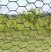 PVC Hexagonal Poultry Netting Chicken Wire 24