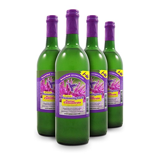 Sweet-Seed Sweet-Nectar Premium Hummingbird Food All-Natural & DYE Free Nectar Concentrate, 100 oz/Makes 300 oz, 4 Piece