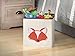 Whitmor Kids Canvas Collapsible Cube Fox
