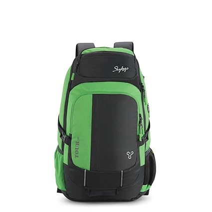 Skybags Weekender 51.2487 Ltrs Steel Grey Hiking Backpack (WKRTOU45SGY)