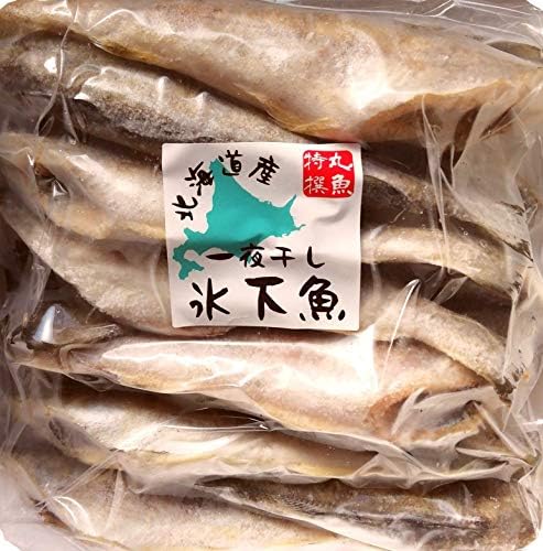 産直丸魚 おつまみにピッタリ 北海道産 氷下魚 こまい 一夜干し 1ｋｇ入 コマイ 珍味