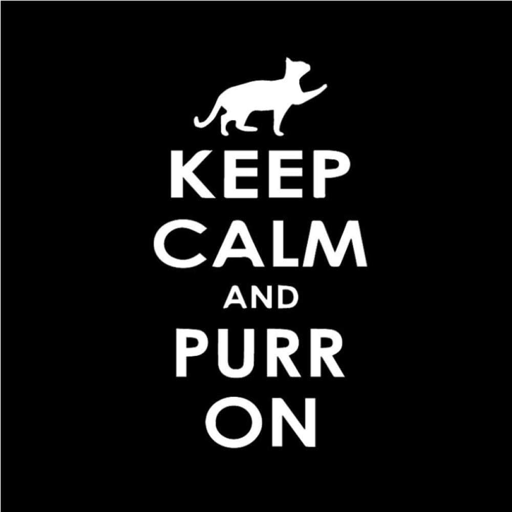3 Pcs 8.5X15.7CM Keep Calm And Purr On Cat Lover's Car Window Decal Vinyl Car Sticker Cute Kitten -white