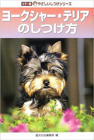 [NV[EeÂ (J[ł₳V[Y) Ps{  - 2002/6/1