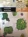 Cactus Theme Vinyl Tablecloth For Texas Western Garden Succulent Floral Green Cacti Desert Unique Fun Party Theme