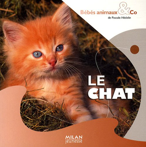 Le  chat