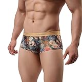 Men's Underwear,Neartime Classic Briefs Man Flower Print Boxer Under Wear Full Briefs (L, Gray)