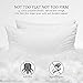 COZSINOOR Pillows for Sleeping [Queen Size 2-Pack], 100% Natural Super Plush Material Fill Premium Breathable Cotton Cover Hypoallergenic Handmade Skin-Friendly, Pillow for Stomach and Back Sleepers