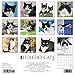 Just Tuxedo Cats 2020 Wall Calendar