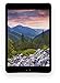 Apple iPad mini 3 MH372LL/A (64GB, Wi-Fi + Cellular, Space Gray) 2014 Model (Renewed)