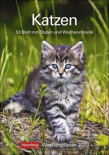 Cats 2023 Weekly Planner 53 Sheets with Quotes and Weekly Chronics